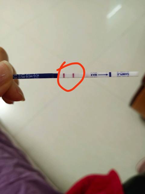 两条杠是怀孕吗