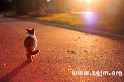 梦见死人给自己东西