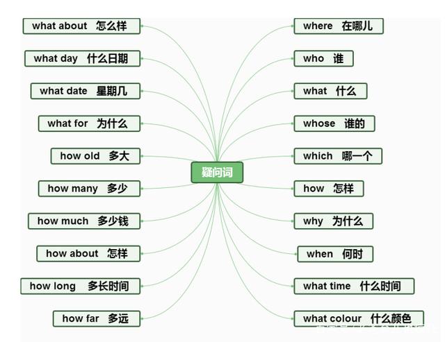 记一个单词用多少神经元,一次记多少单