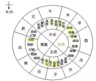 子属于五行中的什么