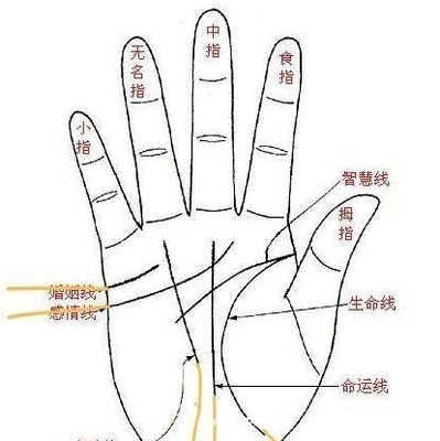 命运线止于智慧线