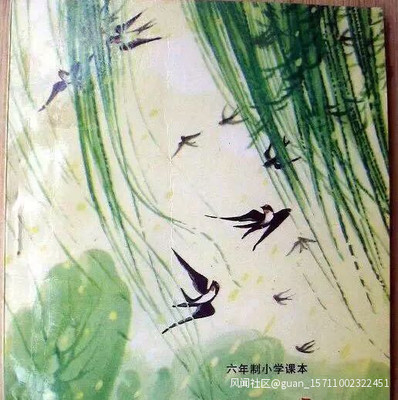 b级验船师找什么工作好