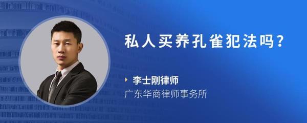 私人养孔雀犯法吗