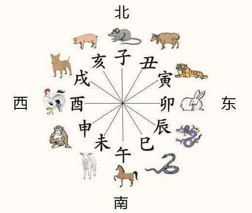 子午指什么生肖