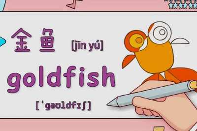 金鱼英语怎么读怎么读啊,关于捕鱼之旅 小鱼英语怎么读