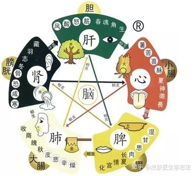 饮食行业五行属什么
