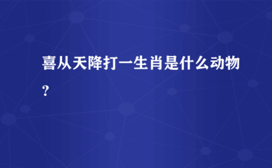 运打一生肖