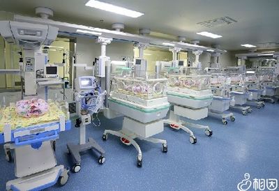 新生儿重症监护室一天多少钱