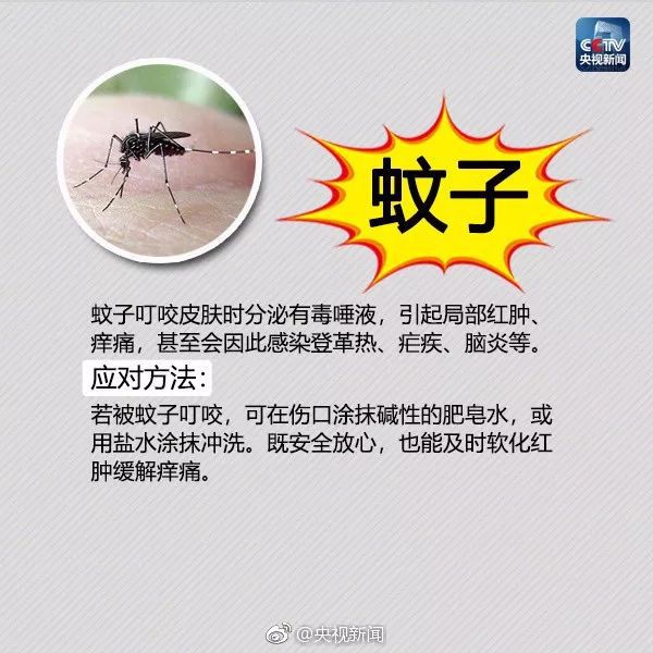 疟疾点疼是怎么回事