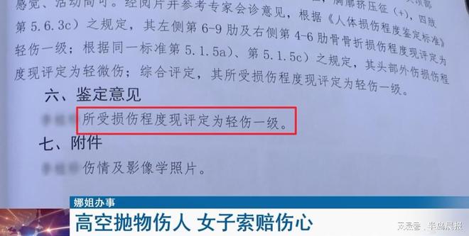 轻伤十级