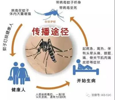 蚊子喜欢热还是喜欢冷