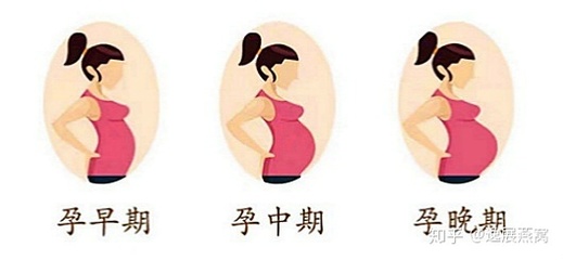 孕妇几个月能吃燕窝