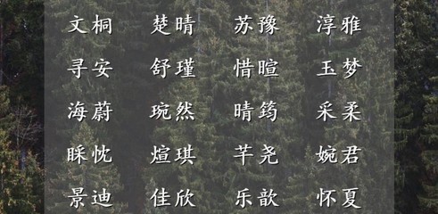 寓意无忧无虑的名字