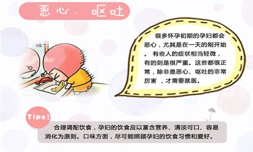一个月会有孕吐吗