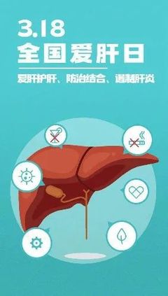 丙型肝炎是怎么回事