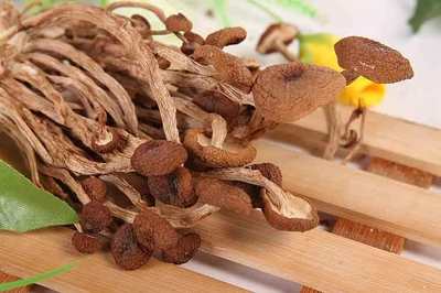 怀孕茶树菇可以吃吗