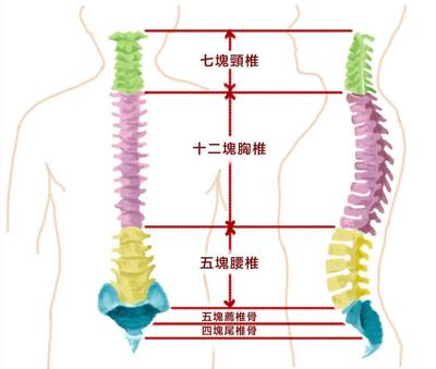 尾椎骨旁边疼是怎么回事