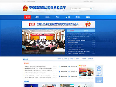 宁夏做网站建设公司