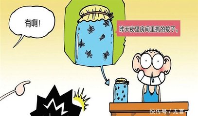 房间里有蚊子