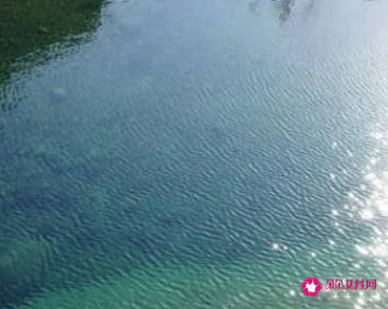梦见自己在海水里