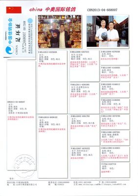 胖妹妹短发怎么扎头发