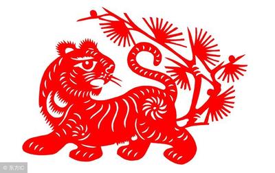 结是什么生肖