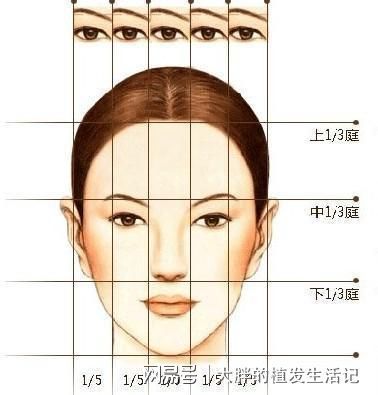 标准眉最适合什么脸型