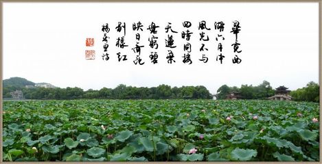 四季最佳配词二字