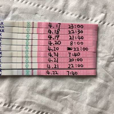 是不是每个月都会排卵