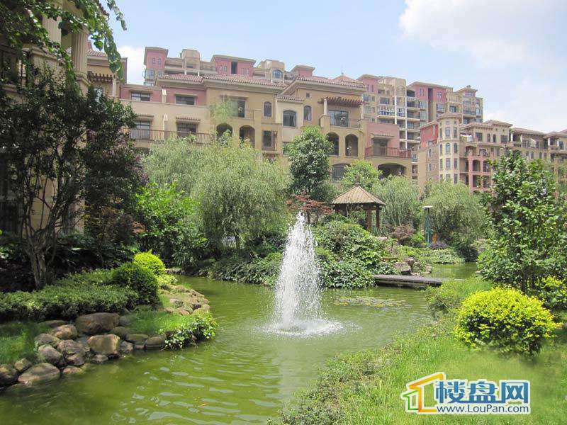 金龙国际花园