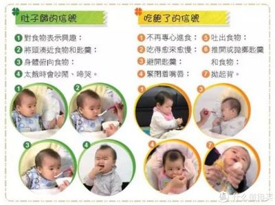 几个月添辅食