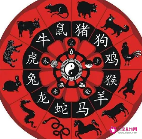 猪五行