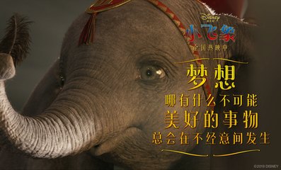 小飞象的感受怎么写