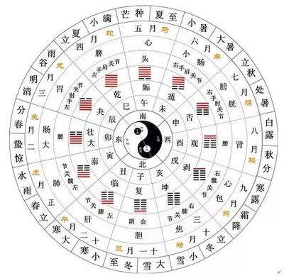 四三合我心是什么生肖