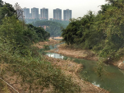 房子后面有水库好吗