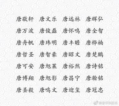 唐姓男孩取名诗意