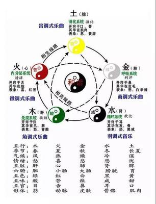 五行五脏养生理论