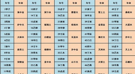 88年五行属什么