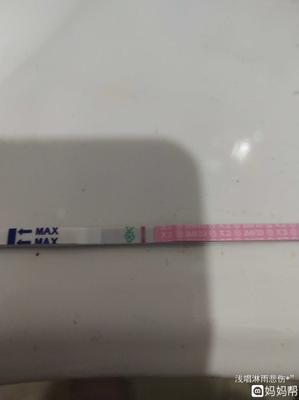 排卵期小腹胀痛腰酸