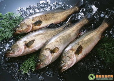 鱼胶痛风患者可以吃吗?痛风为什么不能吃海鲜?