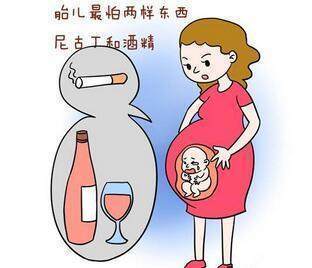 怀孕可以喝酒