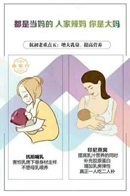 孕妇 燕窝