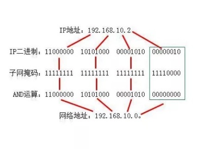 10进制什么意思