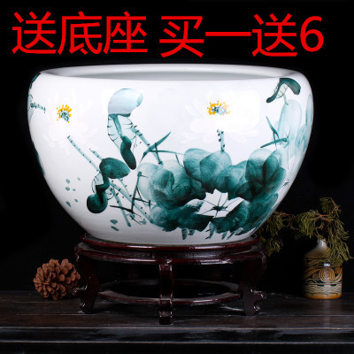 大型淡水觀賞魚有哪些品種圖片(淡水熱帶觀賞魚品種大全圖) 馬拉莫寶石魚