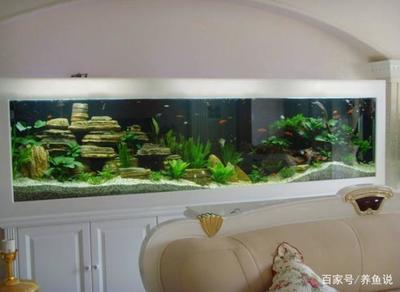家里鱼缸厨房