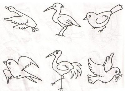 小鸟怎么画又简单图片大全集