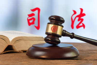 法律的执行机关