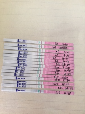 刚怀孕的排卵试纸图片