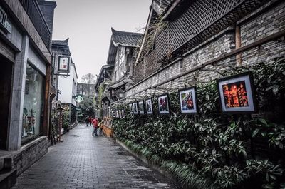宽窄巷子附近酒店推荐