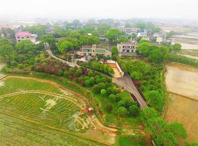 长沙气候适合居住吗